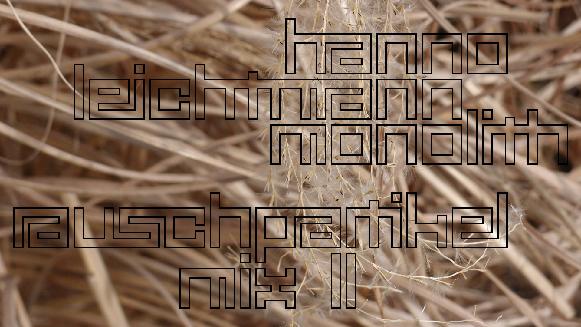 2021-02-26 Monolith - Hanno Leichtmann (Digitaler Mix)